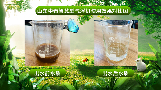 牛蛙養殖到底是豪賭還是造富？用好氣浮機，禁養危機就能變轉機！（3）